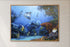wood framed original painting great barrier reef coral trout wall art print